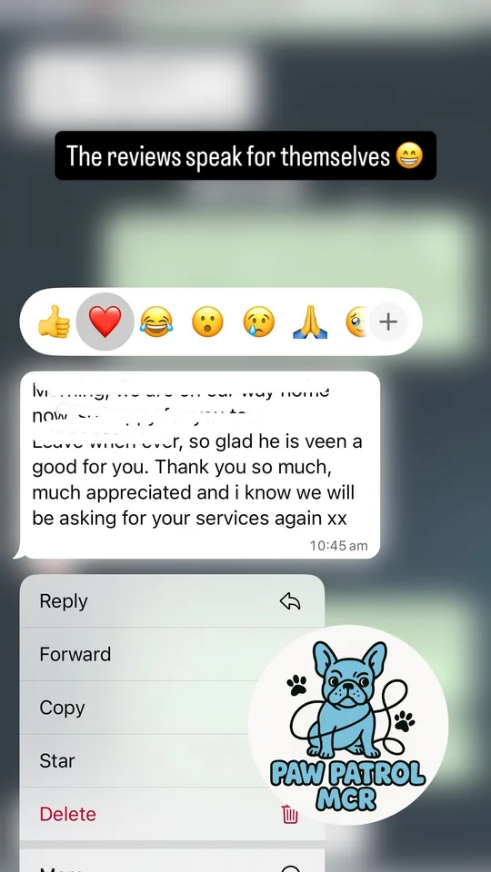 Customer testimonial