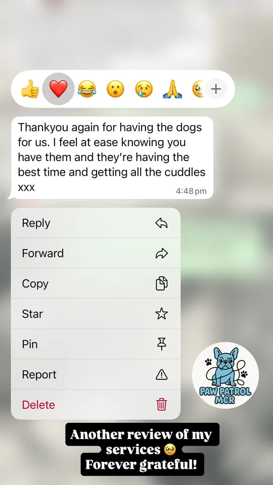 Customer testimonial