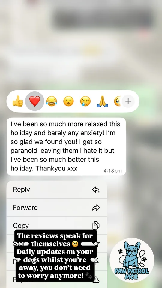 Customer testimonial