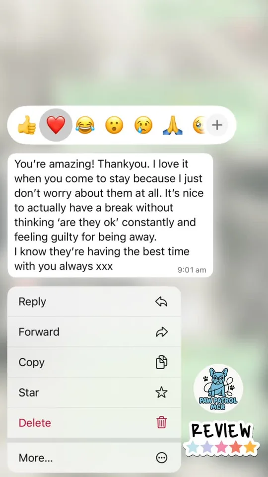 Customer testimonial